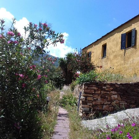 Ikarian Centre - Accommodation & Mountain Hiking Evdilos  Exteriér fotografie
