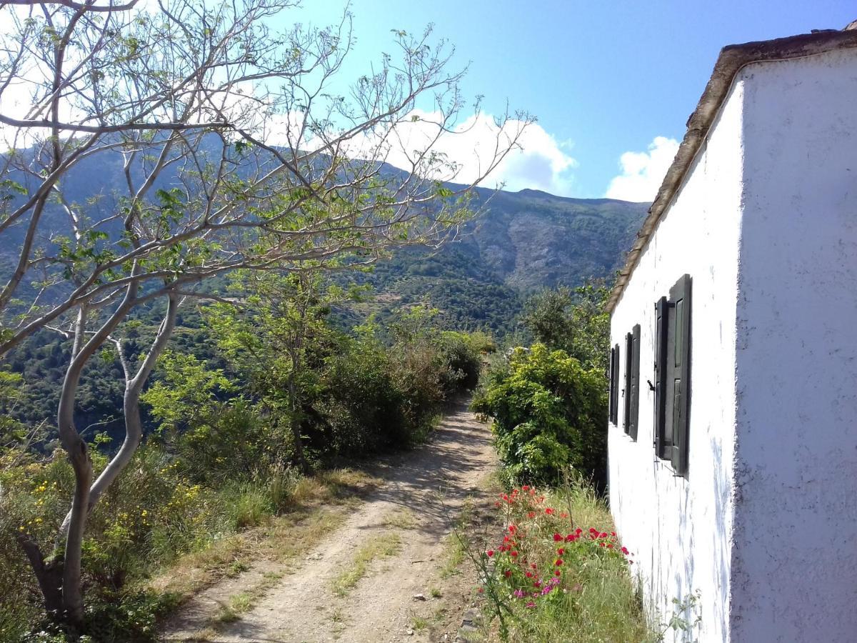 Ikarian Centre - Accommodation & Mountain Hiking Evdilos  Exteriér fotografie