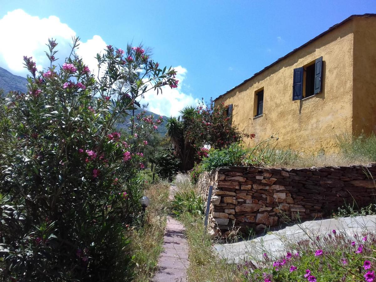 Ikarian Centre - Accommodation & Mountain Hiking Evdilos  Exteriér fotografie