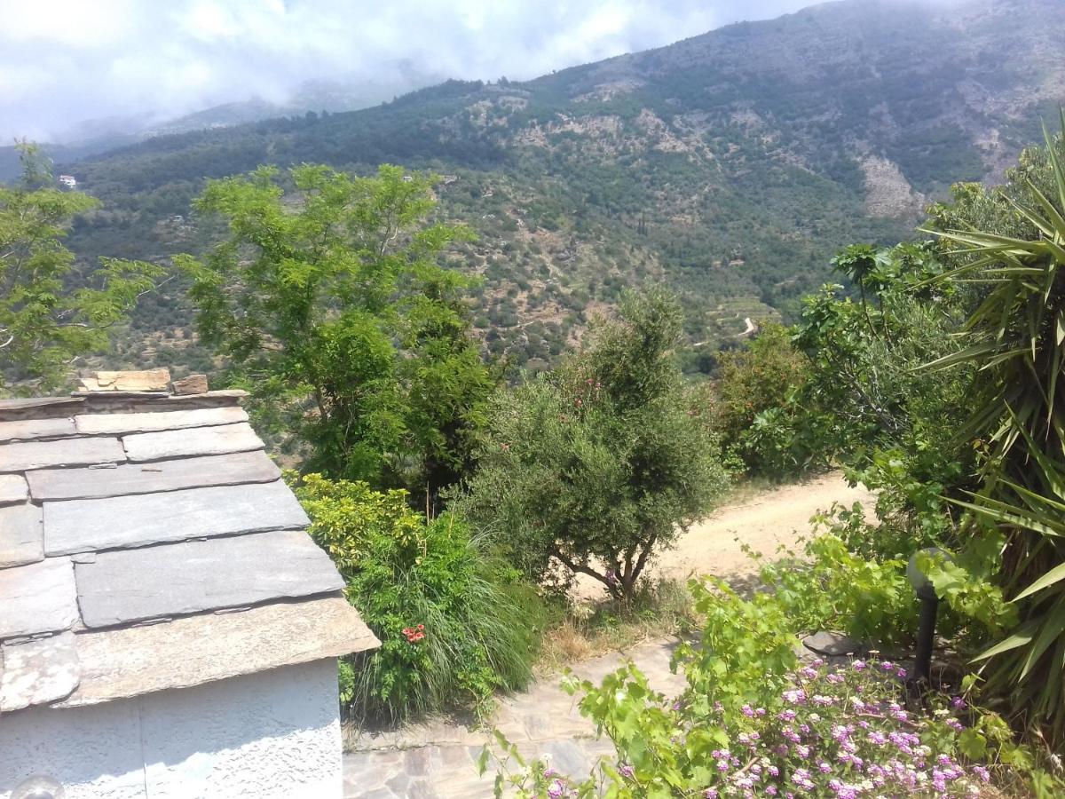 Ikarian Centre - Accommodation & Mountain Hiking Evdilos  Exteriér fotografie